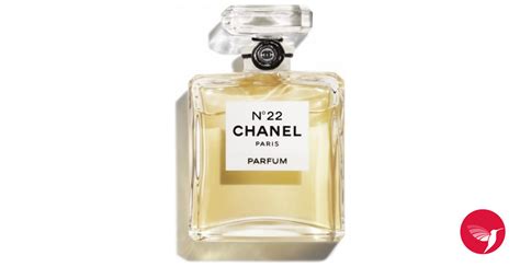 chanel no 5 vs 22|Chanel no 22 fragrantica.